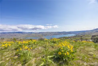 Potential Build Site #1, with good access and a level bench to build.