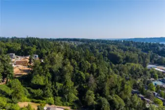 Subject is large stand of trees in center. TriPoint's Hazelwood Gardens is on the left. Prices in that development ranged up to $2 Million.