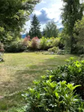 Springtime is beautiful in the front yard hosting rhododendrons, azaleas, lilac and maple trees, snowball trees. a chain of gold tree and wild roses. There's also a non functioning pond in the corner.