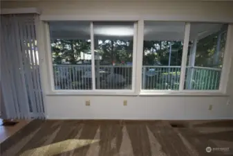 living room view to rear yard