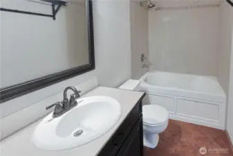 Bathroom Lower Level
