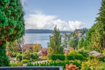 View from Deck