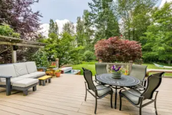 Come enjoy your urban oasis in this spectacular yard & Trex deck