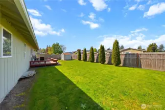 Backyard.  Fully fenced yard