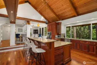 Striking and well appointed epicurean kitchen.