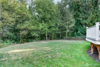Expansive grassy area perfect for outdoor activities, games, or simply enjoying the fresh air.