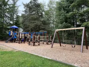 Silver Firs features multiple playgrounds, including this one conveniently located near the home for fun and recreation.