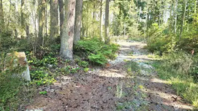 Level, 1.25+ acres