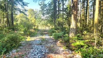 Hard-packed driveway