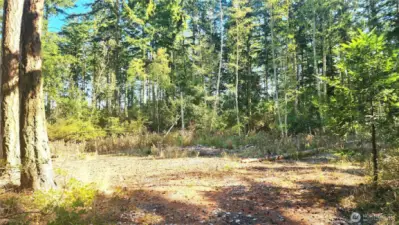 Partially-cleared and still privately wooded