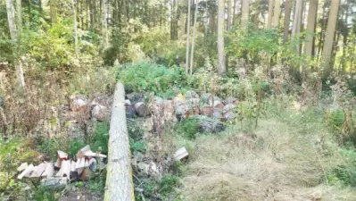 Plenty of firewood