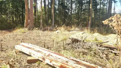 Building material, soil feasibility for septic done