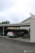 cover parking