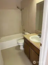 Guest bathroom