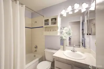 And here is the beautiful spa-like bathroom with custom tile and lighting.