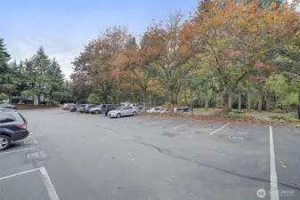 Look at the size of this parking lot!  Reserved deeded spaces for unit owners, plus many visitor spaces to accommodate your friends and family.  The deeded space for Unit #1315 is the second spot from the building, #160.