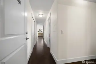 Welcome to the Penthouse 407