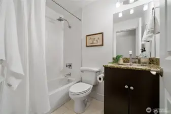 Hall bathroom toilet