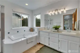 Primary ensuite 5 piece bath