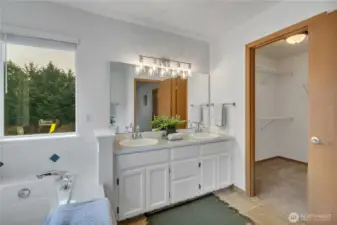 Walk in closet off primary bath