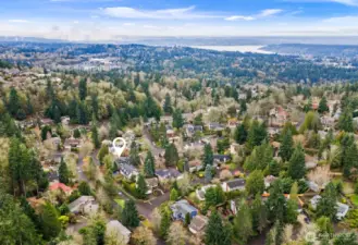 Sought after neighborhood of Somerset is a beautiful Bellevue neighborhood with easy access to shopping, dining, parks, I90 and I405 access.