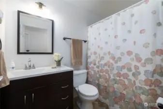 Full hall bathroom