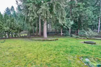 Yard with mature trees and fire pit.