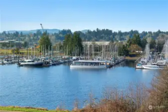 City, Marina and Budd Inlet views to the... Olympics!