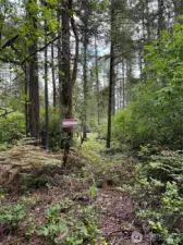 Looking into property