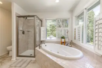 Relax in your luxurious jetted tub while enjoying the serene view