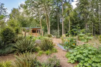 Growing veggies is easy in this sunny garden with raised beds!