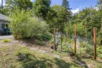 Side-yard garden area, fully-fenced for protection from wildlife