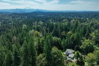 Tranquil forest setting, less than an hour from Mt Rainer National Park!
