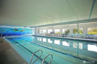 Country club indoor swimming facility with gym.