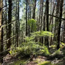 One of several building sites