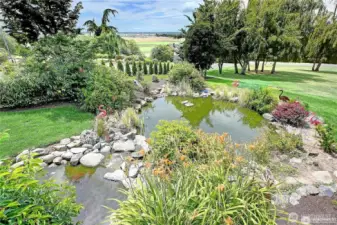 Pond with waterfall and lots of goldfish off the family room.