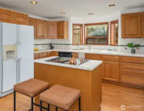 Additional Kitchen, lower level