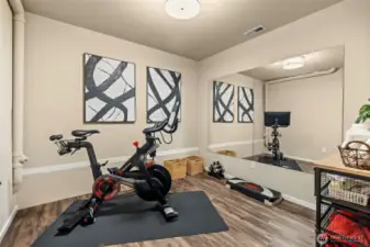 lower level workout room