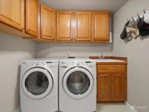 Laundry/Mud Room with utility sink