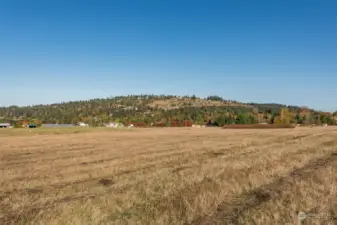 From SW looking toward NE Boundary