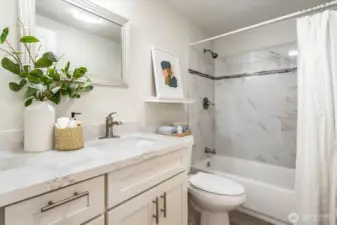 Lower level bathroom