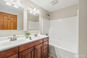 Lower Level Full Bath