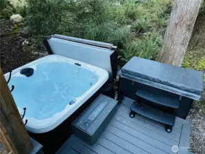 Hot tub and cold plunge