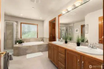 Jack and Jill bathroom, accessed by the 2 upper, oversized bedrooms.
