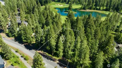 Mountain feeling site with mature evergreen pines.