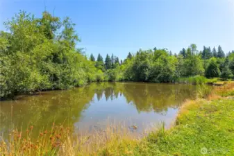 4000 Flynn Street #40, Bellingham