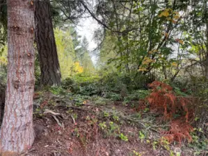 Access to the lot from Camano Lane. Electricity and sewer are in the street, ready for your build.