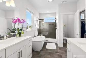 Primary en suite, walk in closet