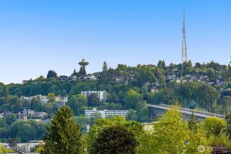 Glimpse the Space Needle rising from lush greenery—Wallingford's elevated charm is on display.