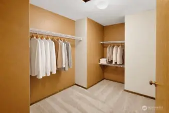 Virtually staged. Primary walk-in closet.